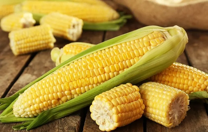 Corn