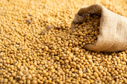 Soybeans