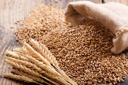 Wheat